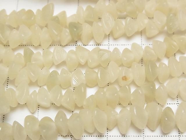 ѡĥ꡼ å(ߥ˥֥) 1Ϣ(38cm) ͥ2