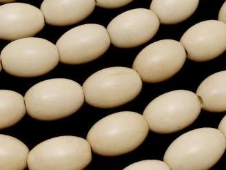 ۥ磻ȥå 饤151010mm 1Ϣ(38cm)