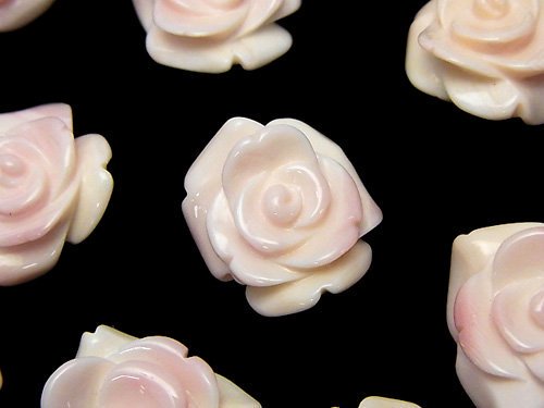 クィーンコンクシェル 薔薇 20mm 【貫通穴】 2個1,180円！｜天然石