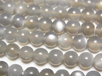 ưۥ졼ࡼ󥹥ȡAAA 饦6mm ȾϢ/1Ϣ(38cm)