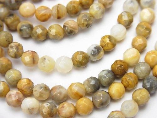 クレイジーレースアゲート 32面ラウンドカット4mm 1連(約38cm)の画像