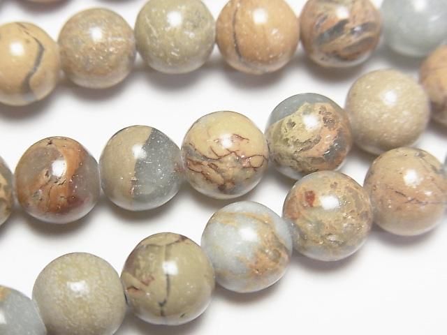ץå󥹥ȡ 饦8mm 1Ϣ(36cm)β