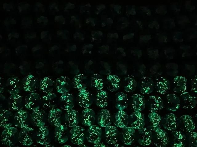 【動画】とんぼ玉 ラウンド10mm 【ピンク×シルバー×ホワイト/蓄光タイプ】 1/4連~1連(約36cm) サムネイル3