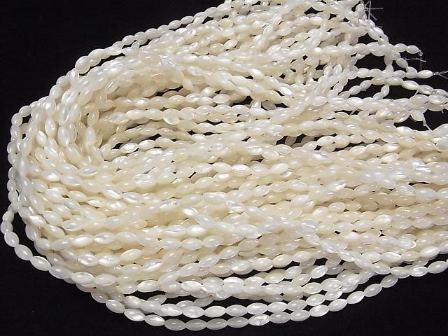 ư۹ʼۥ磻ȥ(ĳ)AAA 饤844mm 1Ϣ(37cm) ͥ4