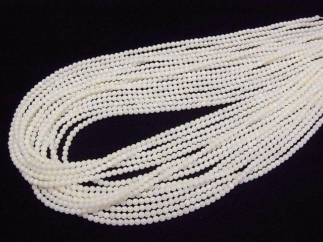ưۥۥ磻ȥ(򻹸) ˾饦3mm 1Ϣ(38cm) ͥ4