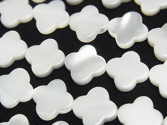 ưۥޥ֥ѡ ۥ磻 ե 1212mm 1Ϣ(37cm)β