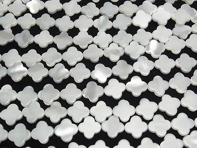 ưۥޥ֥ѡ ۥ磻 ե 1212mm 1Ϣ(37cm) ͥ3