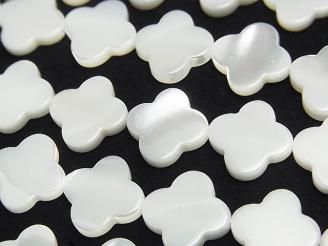 ưۥޥ֥ѡ ۥ磻 ե 1212mm 1Ϣ(37cm)