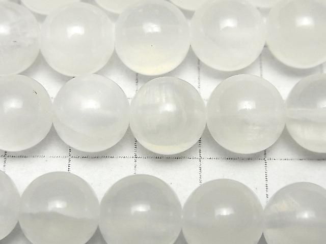 ʥ(ץ) 饦12mm ȾϢ/1Ϣ(37cm) ͥ2