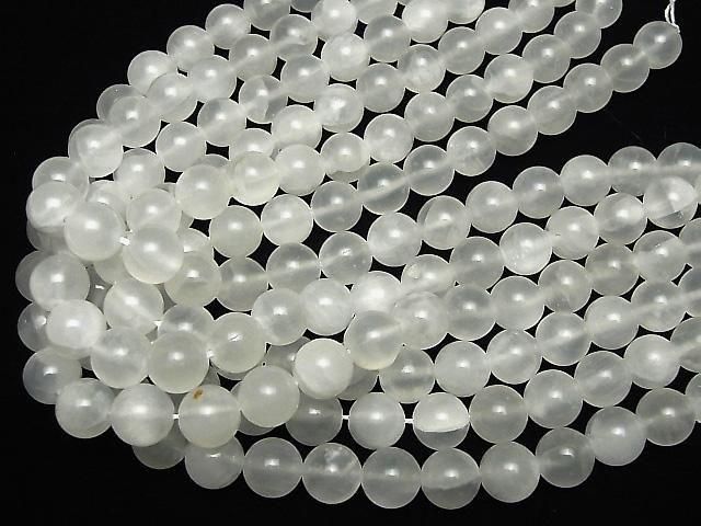 ʥ(ץ) 饦12mm ȾϢ/1Ϣ(37cm) ͥ4
