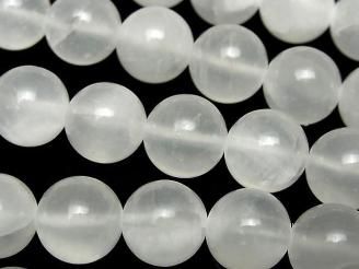 ʥ(ץ) 饦12mm ȾϢ/1Ϣ(37cm)