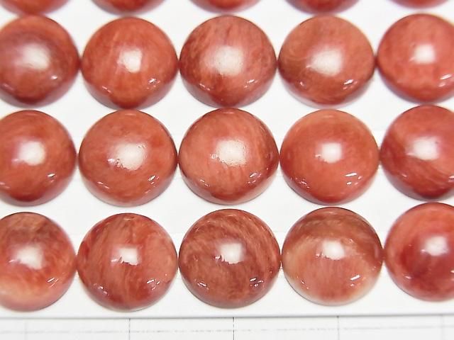 【動画】スパイニーオイスターシェル ラウンド カボション10×10mm 1個 サムネイル2