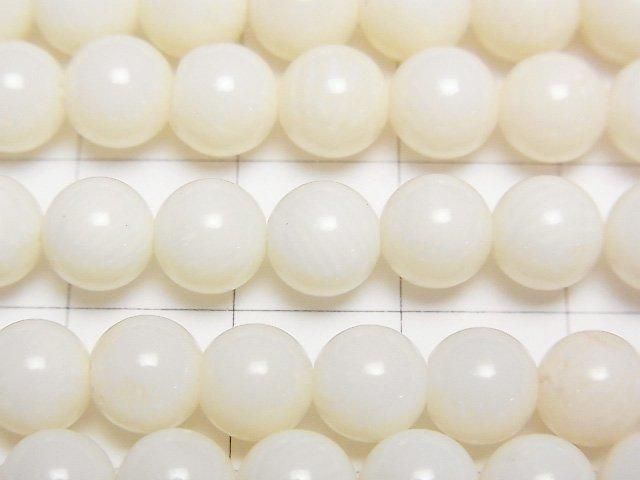 ưۥۥ磻ȥ(򻹸) 饦7mm 1Ϣ(38cm) ͥ2