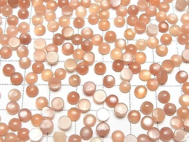 ưۥ󥸥ࡼ󥹥ȡAAA- 饦 ܥ55mm 10Ĥβ-4