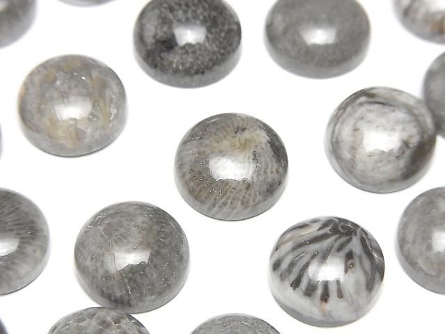【動画】モロッコ産ブラックフォシルコーラル ラウンド カボション12×12mm 2個の画像