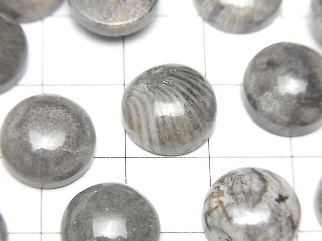 【動画】モロッコ産ブラックフォシルコーラル ラウンド カボション12×12mm 2個 サムネイル2
