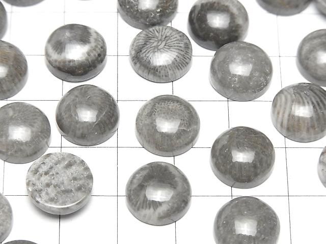 【動画】モロッコ産ブラックフォシルコーラル ラウンド カボション12×12mm 2個 サムネイル3