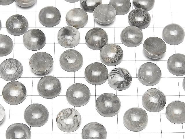 【動画】モロッコ産ブラックフォシルコーラル ラウンド カボション12×12mm 2個 サムネイル4