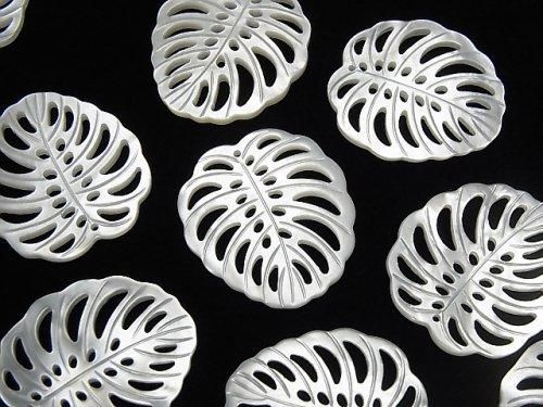 【動画】高品質ホワイトシェル 透かし リーフ25×23mm 1個の画像