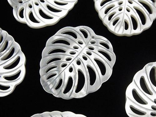 【動画】高品質ホワイトシェル 透かし リーフ30×27mm 1個の画像