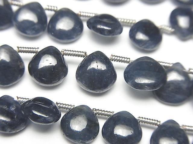 ưǮ֥롼եAAA- ޥ(ץ졼) ȾϢ/1Ϣ(18cm)