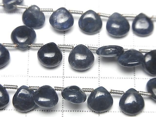 ưǮ֥롼եAAA- ޥ(ץ졼) ȾϢ/1Ϣ(18cm)β-2