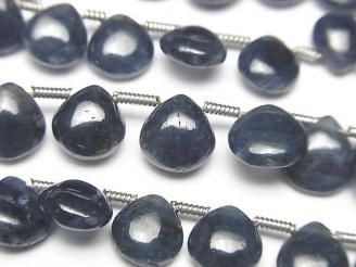 ưǮ֥롼եAAA- ޥ(ץ졼) ȾϢ/1Ϣ(18cm)