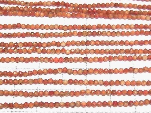 ưۥݥ󥸥 ˾饦ɥå2mm 1Ϣ(36cm) ͥ3