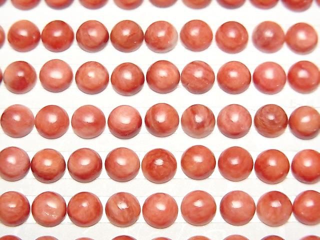 【動画】スパイニーオイスターシェル ラウンド カボション6×6mm 2個 サムネイル3