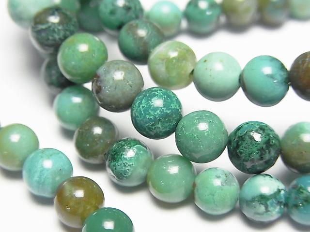 ưۥڥ롼ॷꥫAA++ 饦6mm 1Ϣ(֥쥹)