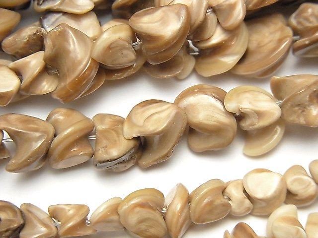 ưۥ֥饦󥷥 ĥȥ֥ 1Ϣ(38cm)β