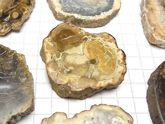 【動画】ペトリファイドウッド(珪化石) 原石スライス 3個 サムネイル2