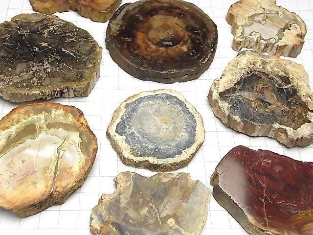 【動画】ペトリファイドウッド(珪化石) 原石スライス 3個 サムネイル4