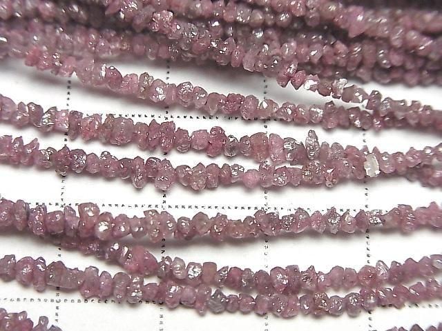 ưۥԥ󥯥 å(ߥ˥֥) ȾϢ/1Ϣ(34cm) ͥ2