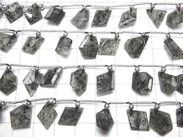 【動画】ブラックモスクォーツ(バイオタイトインクォーツ)AA++ ファンシーシェイプカット 1連(17粒) サムネイル3