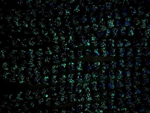 【動画】とんぼ玉 縦穴ハート12×12×8mm 【ブルー×ライトブルー/蓄光タイプ】 半連/1連(約30cm) サムネイル3