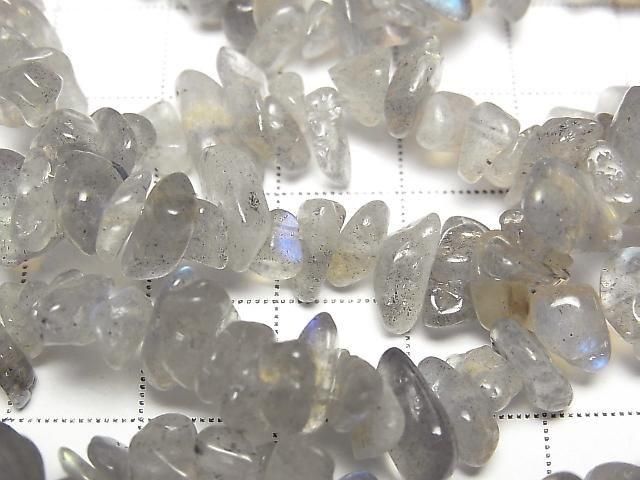 ��ư��ۥ�֥�ɥ饤��AA++ ���å�(�ߥ˥���֥�) 1Ϣ(��36cm)�β���-2