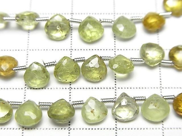 ��ư��ۥ����å���顼�����ͥå�AA++ �ޥ��� �֥ꥪ��åȥ��å� 1Ϣ(��19cm)�β���-2