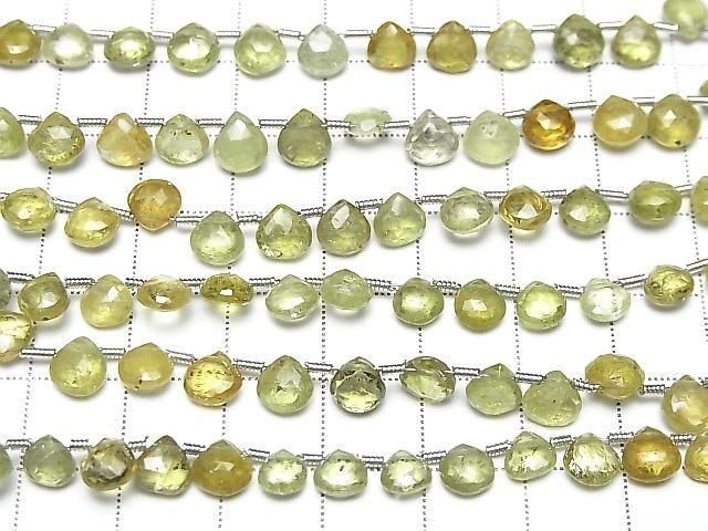 ��ư��ۥ����å���顼�����ͥå�AA++ �ޥ��� �֥ꥪ��åȥ��å� 1Ϣ(��19cm)�β���-3