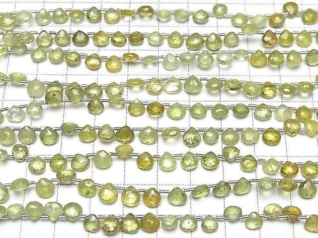 ��ư��ۥ����å���顼�����ͥå�AA++ �ޥ��� �֥ꥪ��åȥ��å� 1Ϣ(��19cm)�β���-4