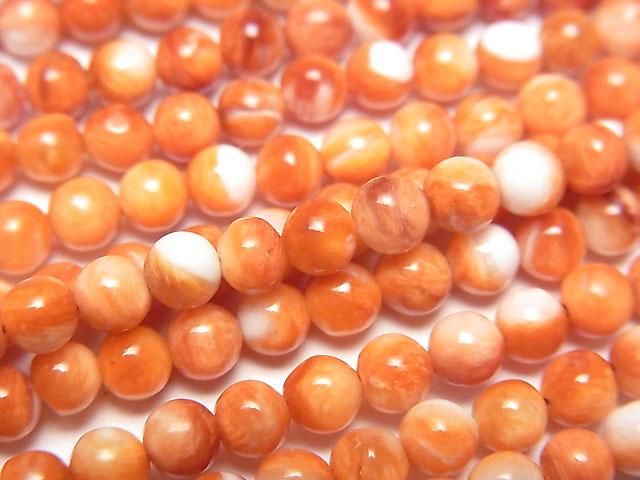 【動画】スパイニーオイスターシェル ラウンド4mm 1/4連~1連(約38cm)の画像