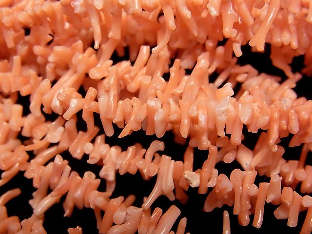 ミッドウェー産本珊瑚・ピンクオレンジコーラル 枝スティック（チップ