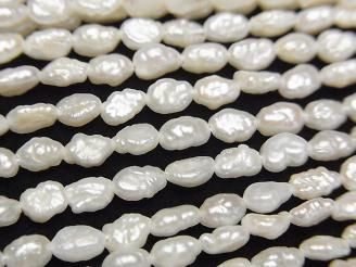 ưø忿 ѡAA+ Хå4.5~5mm ۥ磻 1Ϣ(36cm)