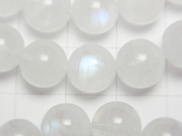 ưۥ쥤ܡࡼ󥹥ȡAA++ 饦9.5mm 1Ϣ(֥쥹) ͥ2