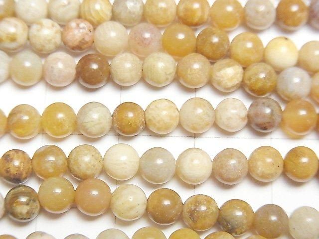【動画】フォシルコーラル(化石珊瑚) ラウンド4.5mm 1連(約37cm) サムネイル2