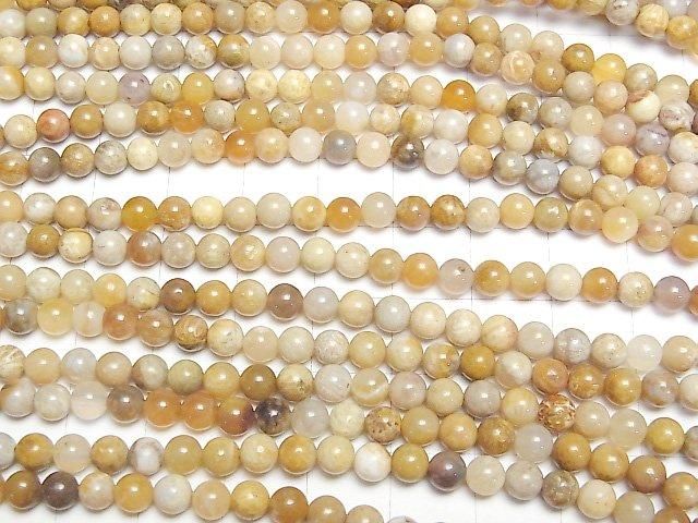 【動画】フォシルコーラル(化石珊瑚) ラウンド4.5mm 1連(約37cm) サムネイル3