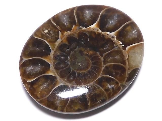 【動画】【1点もの】アンモナイト ルース 1個 NO.133の画像