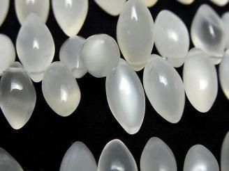 ưмۥ磻ȥࡼ󥹥ȡAA++ ޡ饤 (ץ졼) ȾϢ/1Ϣ(18cm)
