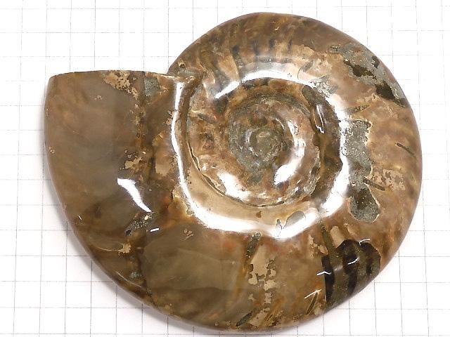 【動画】【1点もの】アンモナイトの化石 1個 NO.5 サムネイル2
