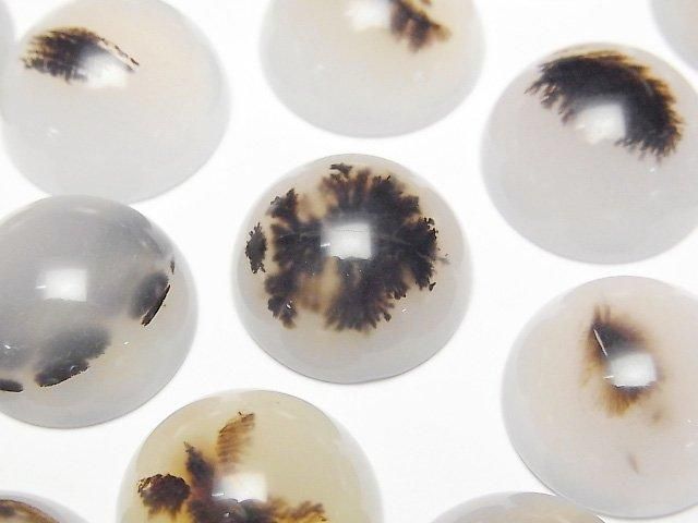 【動画】モンタナモスアゲートAA++ ラウンド カボション18×18mm 2個の画像